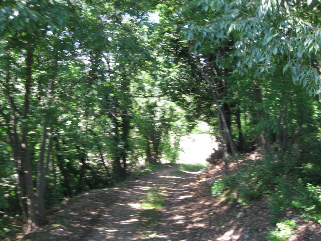 Agriturismo Campagnoletto Cavriana Rum bild
