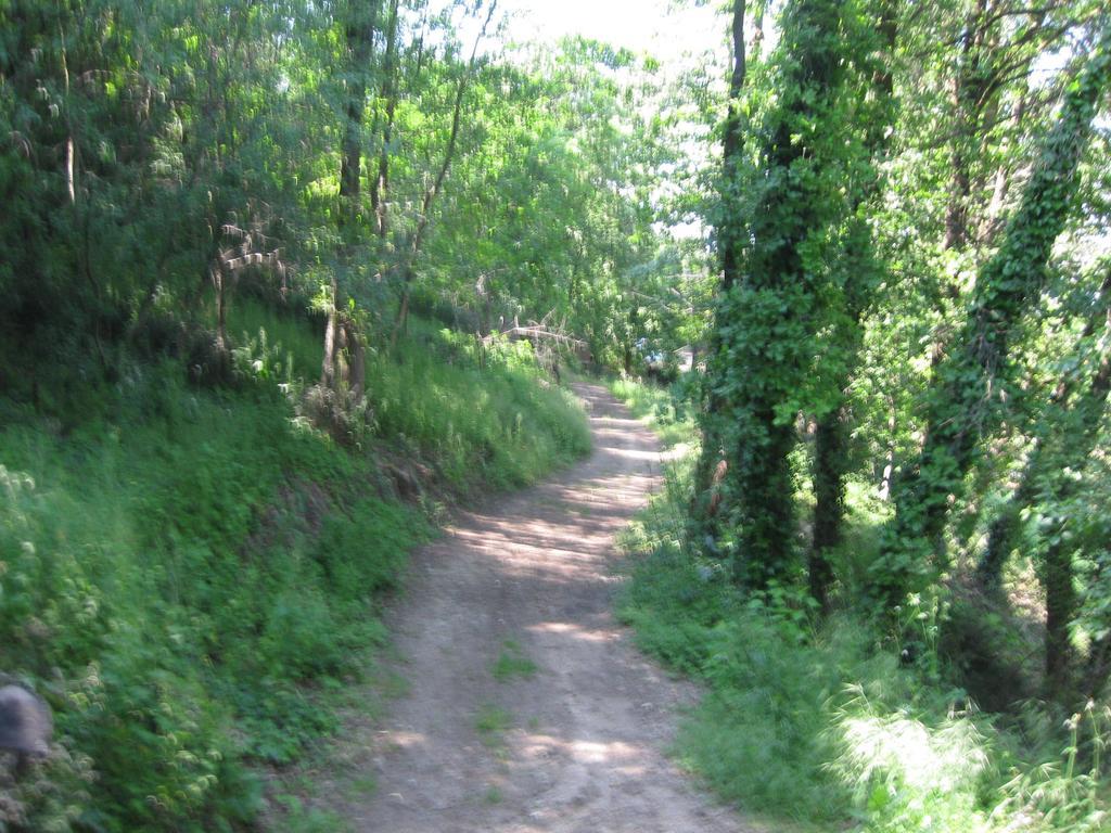 Agriturismo Campagnoletto Cavriana Rum bild
